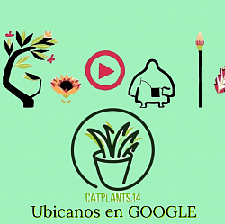 Catplants.14 en GOOGLE ☘